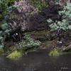 ibe06_et8_cannyoning_3462_av