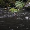 ibe06_et8_cannyoning_3471_av