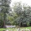 ibe06_et8_cannyoning_3482_av