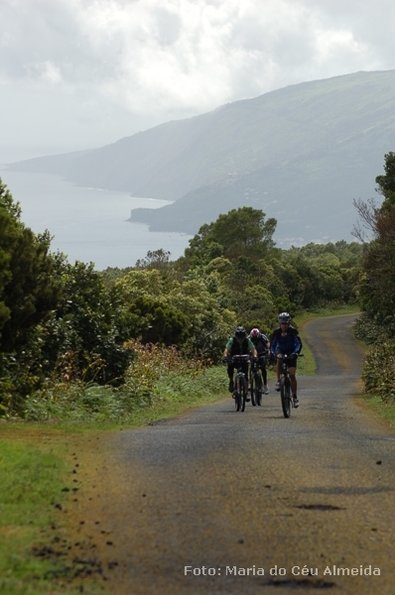 poc07_et09_btt_132_mca