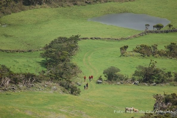 poc07_et10_ped_088_mca