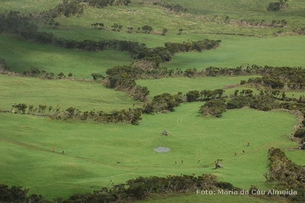 poc07_et10_ped_089_mca