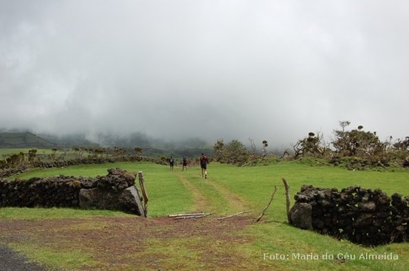 poc07_et10_ped_092_mca