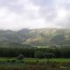 tor06_et04_ped_58_av