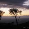 tor06_et05_pb040248_ln