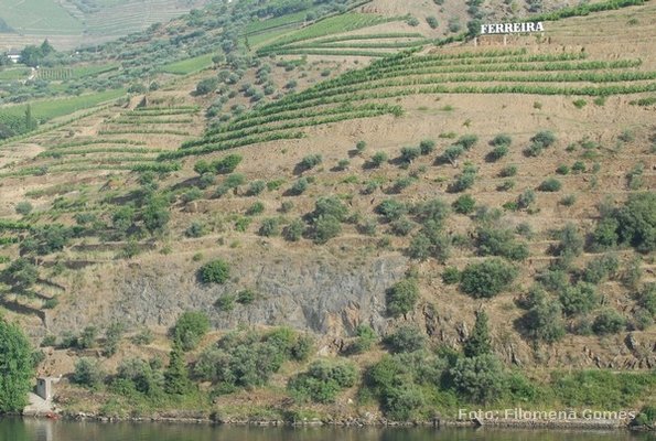 vre07_et7_natcan_fil_0209_w