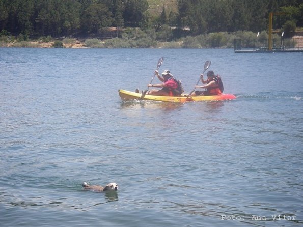 xis07_et4_esc_AV_4006