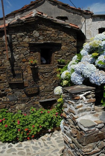 xis07_et9_ped_btt_AD_0148